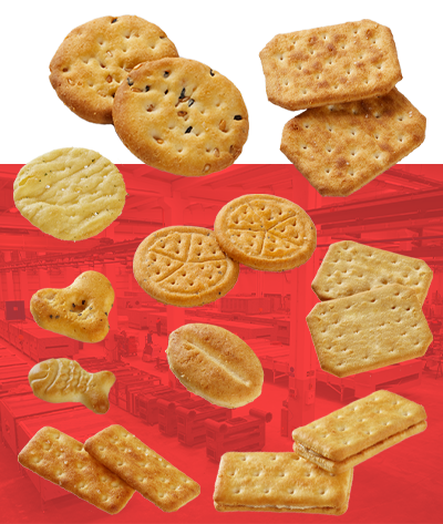 Oilled crackers Production Line